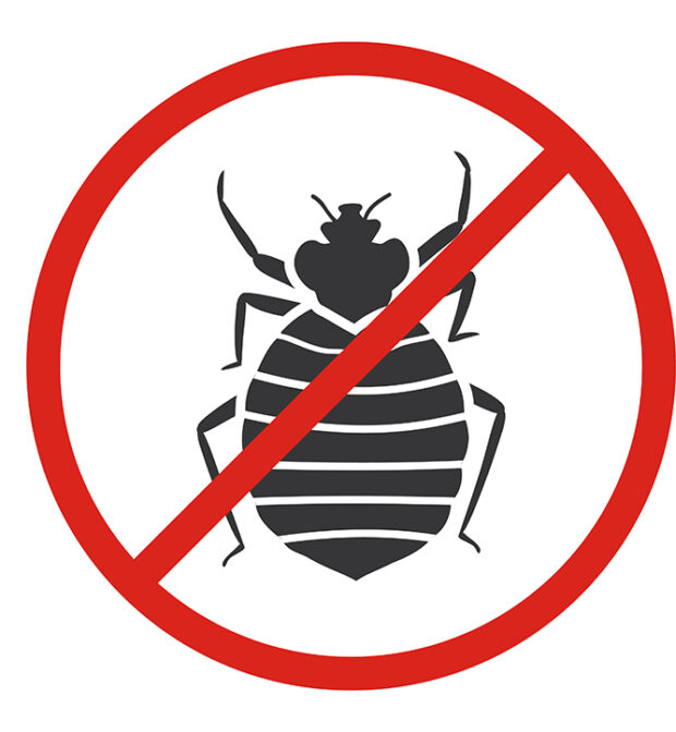 Bed Bug Control-Services in Tirupur-TamilNadu-India-Best cleaning