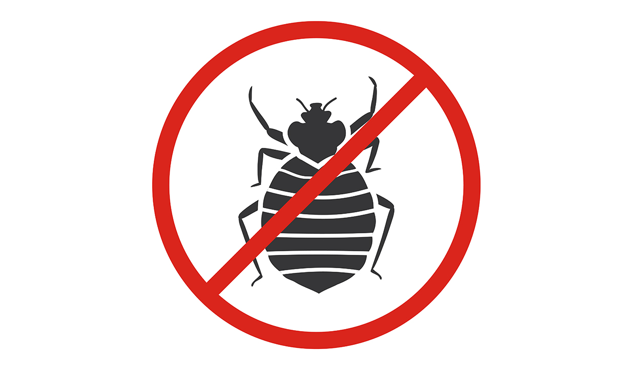 Bed Bug Control-Services in Tirupur-TamilNadu-India-Best cleaning
