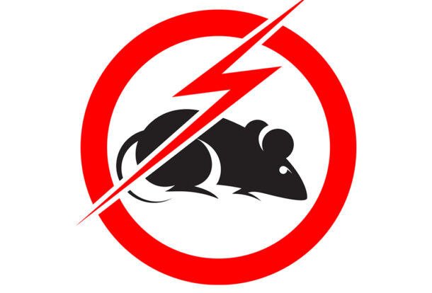 Rat Control Services in Tirupur-Tamilnadu-India-Best Pest Control