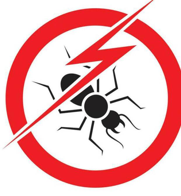 Termite Control in Tirupur-Tamilnadu-India-Termite Control Tiruppur