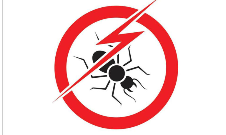 Termite Control in Tirupur-Tamilnadu-India-Termite Control Tiruppur